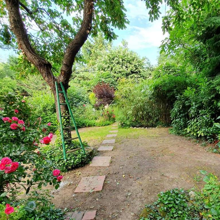 Rez de jardin de maison avec grand jardin exclusif, Villejuif –  Aktualisierte Preise für 2023