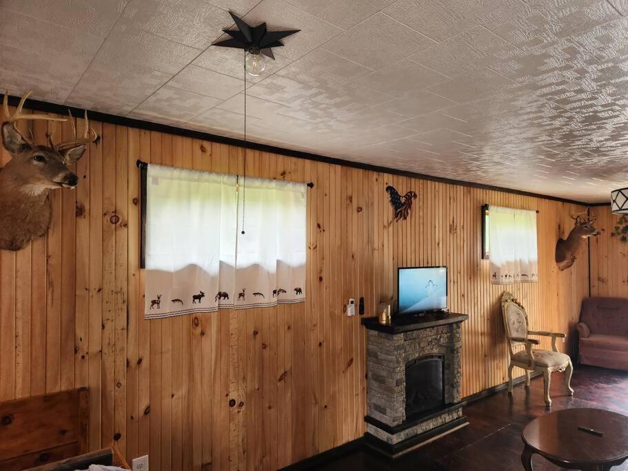a living room with wood paneled walls and a fireplace at 3 bed/2 bath Riverside cabin 