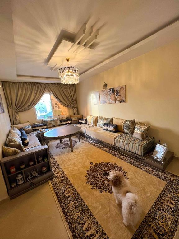 阿加迪尔Room in Charming Apartment Locally-Centred的带沙发和桌子的客厅