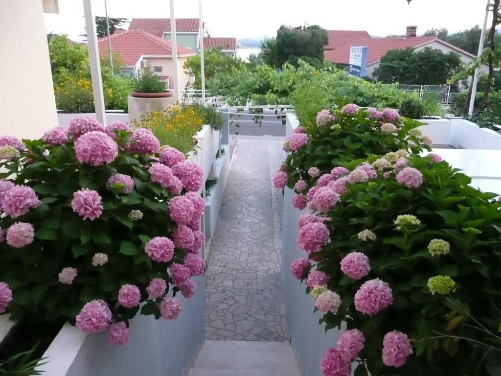 Vonkajšia záhrada v ubytovaní Apartment Nima Orebic