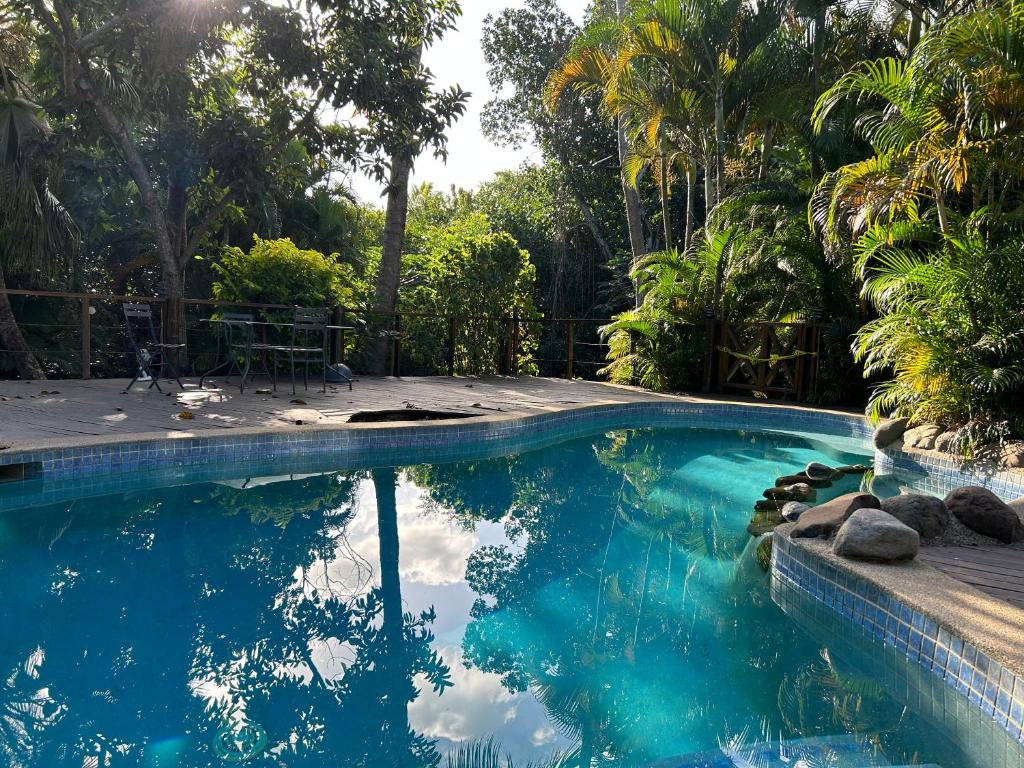 - une piscine d'eau bleue avec des palmiers dans l'établissement Tropical Garden-04-F, à Nadi