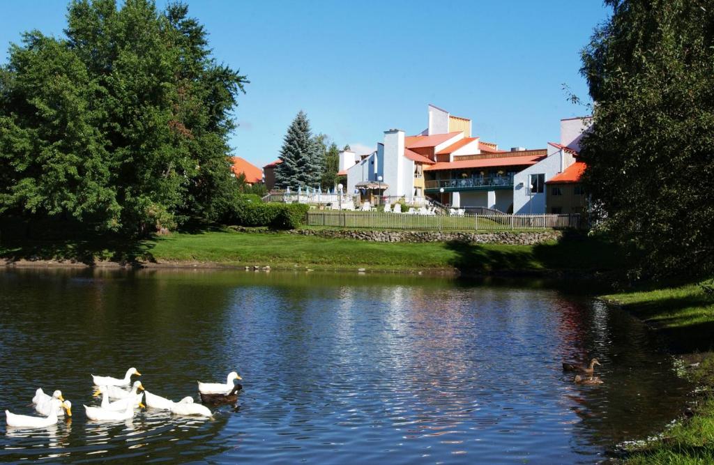 Výhled na řeku, která protéká v blízkosti hotelu