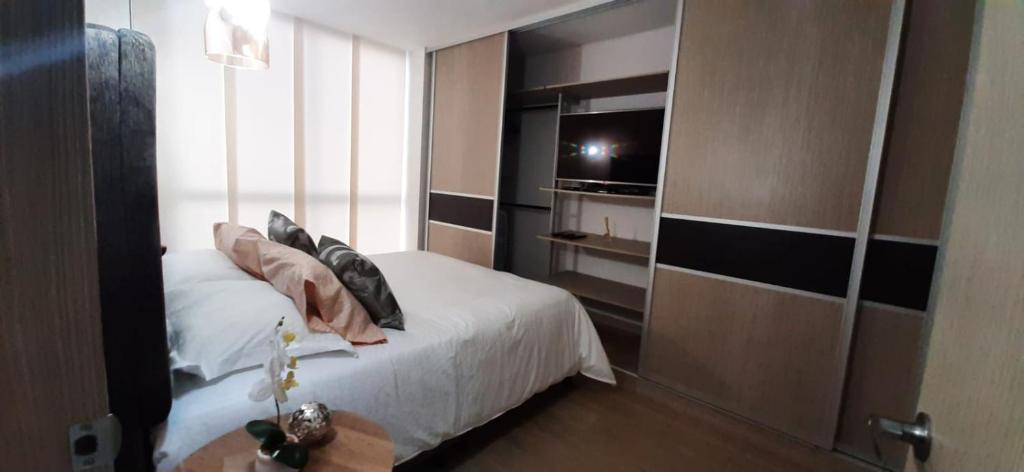 伊瓦格的住宿－BV08 LUXESTUDIO，一间卧室配有带枕头的床铺和电视。