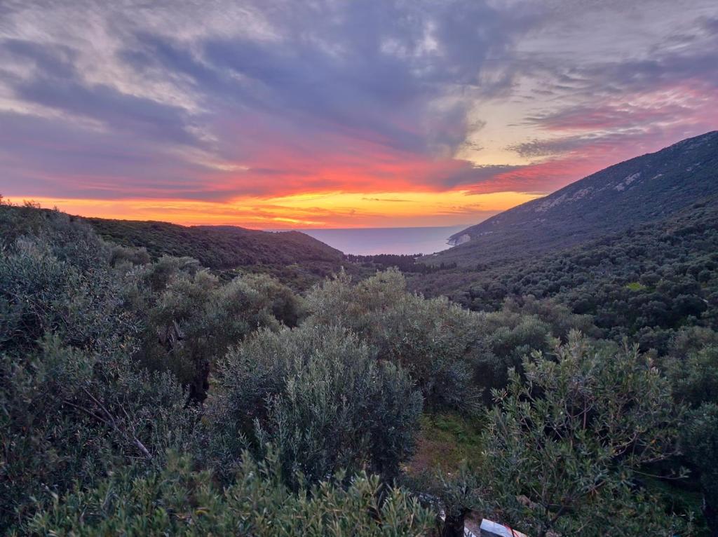 Paesaggio naturale nelle vicinanze della villa