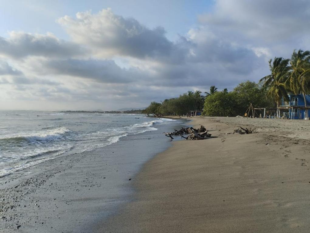 uma praia arenosa com árvores e o oceano em Punta saladita em La Majahua