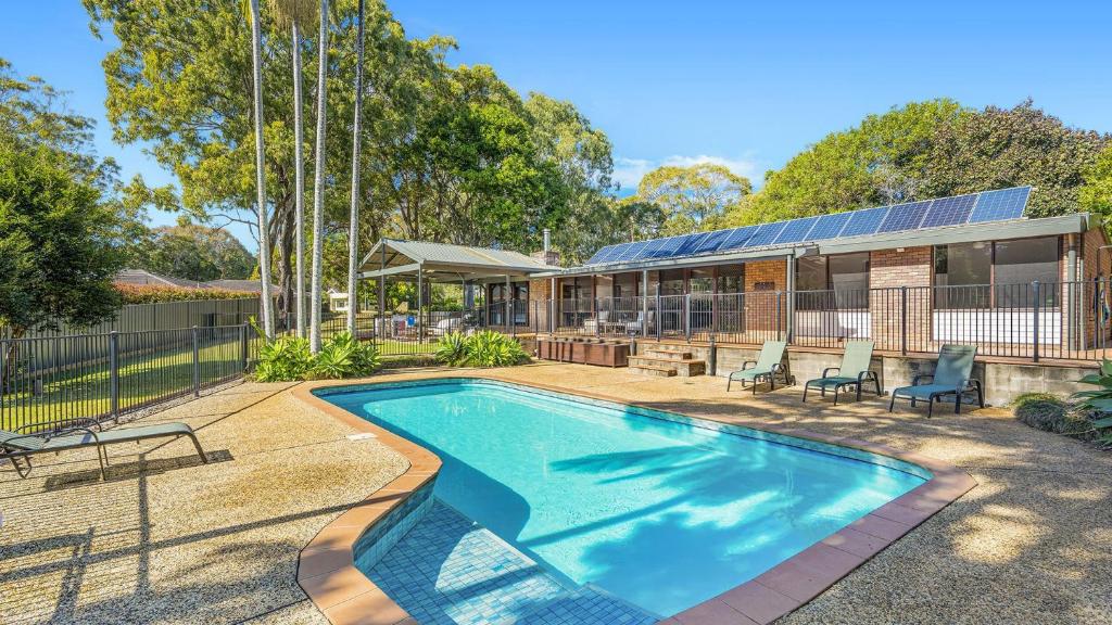 Koalas At Links Lighthouse Beach, Port Macquarie (updated prices 2024)