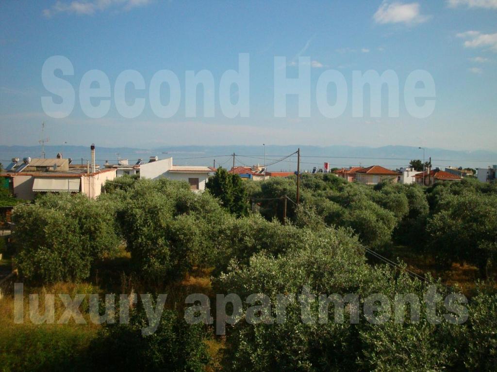 Príroda v okolí apartmánu