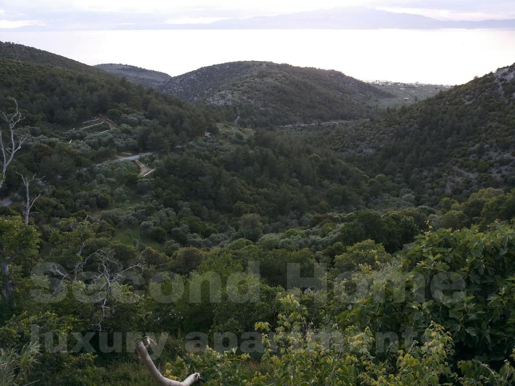 Príroda v okolí apartmánu