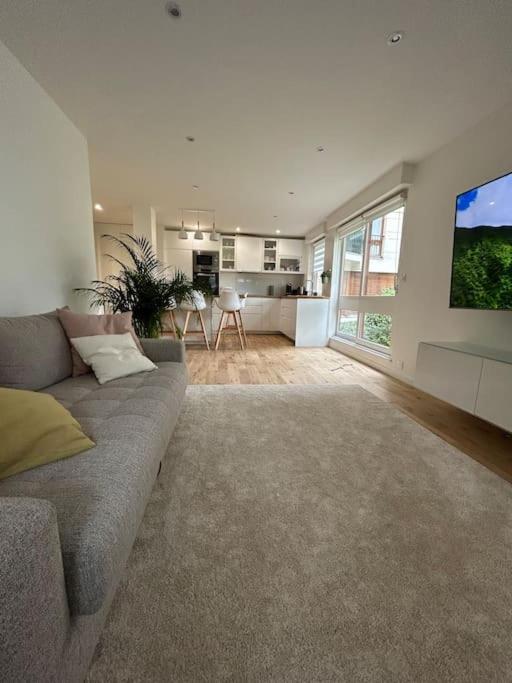 un salon avec un canapé et une cuisine dans l'établissement Stunning appartement close to Versailles, à Le Chesnay