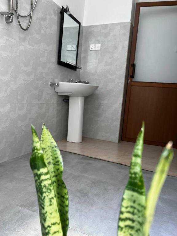 TV a/nebo společenská místnost v ubytování Urban Galle Villa