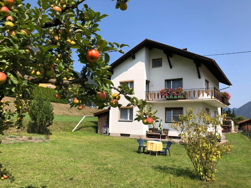 塔倫茨的住宿－Haus Hermine，前面有橘子树的房子