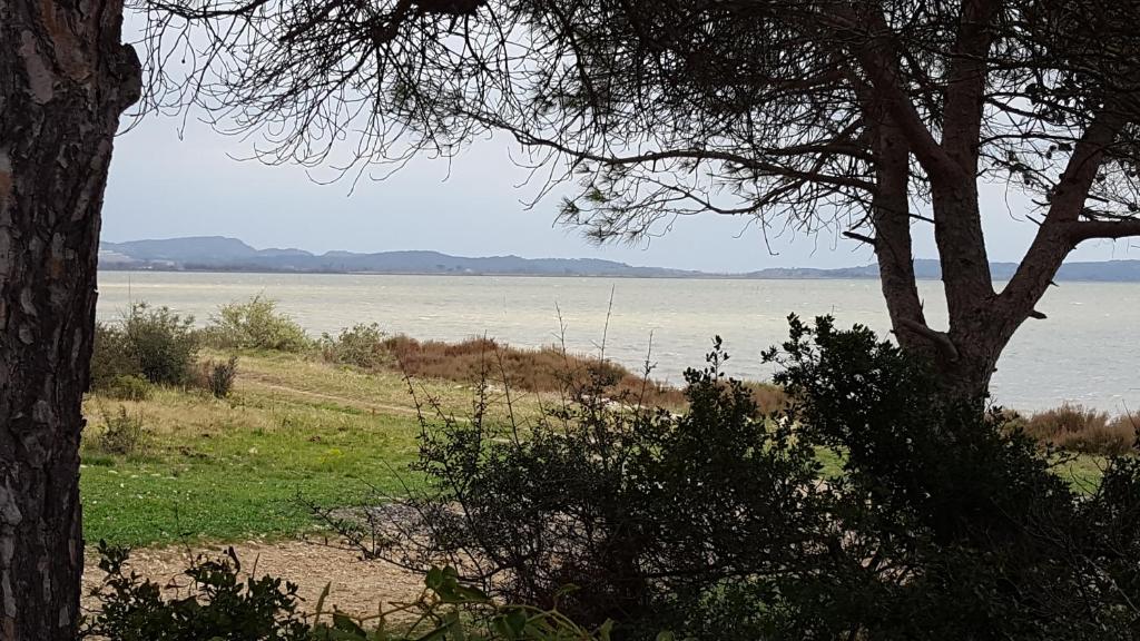 Príroda v okolí apartmánu