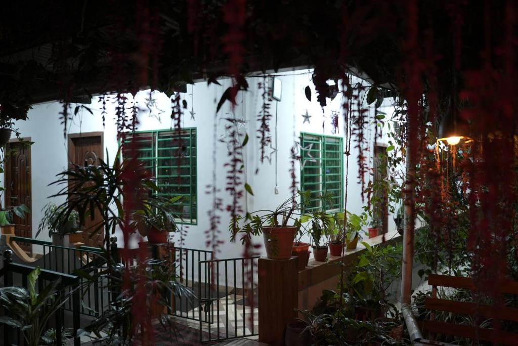 a white building with green windows and potted plants at Wind Valley in Ramakkalmedu