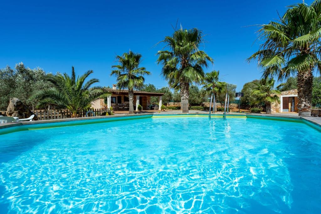 una gran piscina con palmeras en el fondo en Chalet Turó en Cala Santanyi