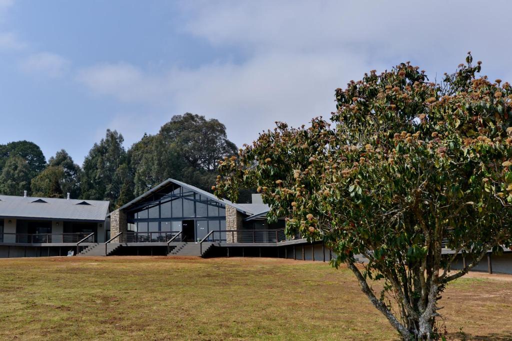 un edificio con un árbol delante de él en Dunkeld East Hotel en Dullstroom