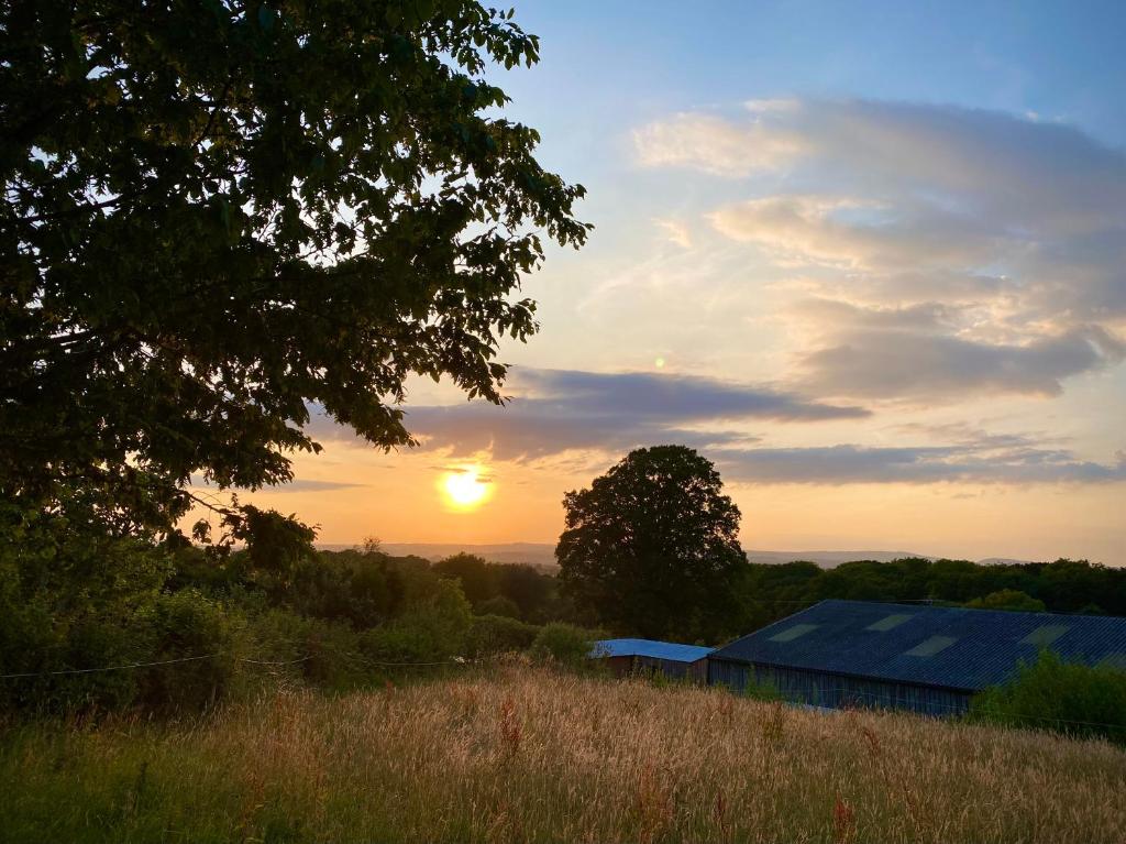 Cherry Tree Glamping Lodge - Deluxe Double Room