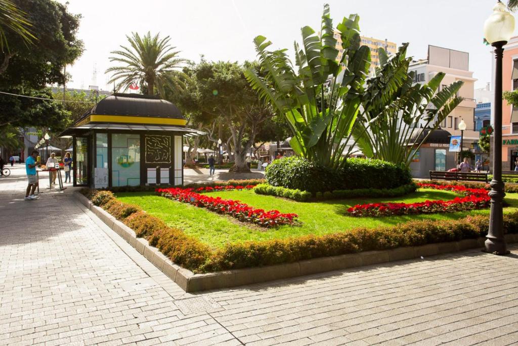 Fotografie z fotogalerie ubytování Flatguest Albareda v destinaci Las Palmas de Gran Canaria