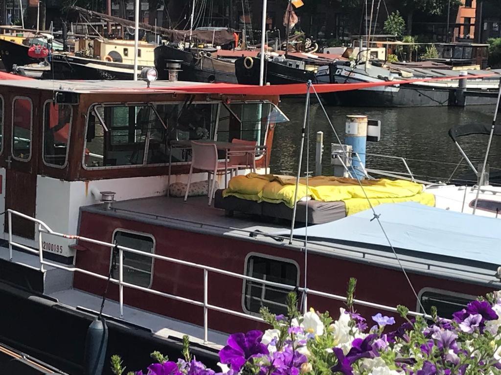 un barco está atracado en un puerto deportivo con flores púrpuras en Spacious homely house boat, en Ámsterdam