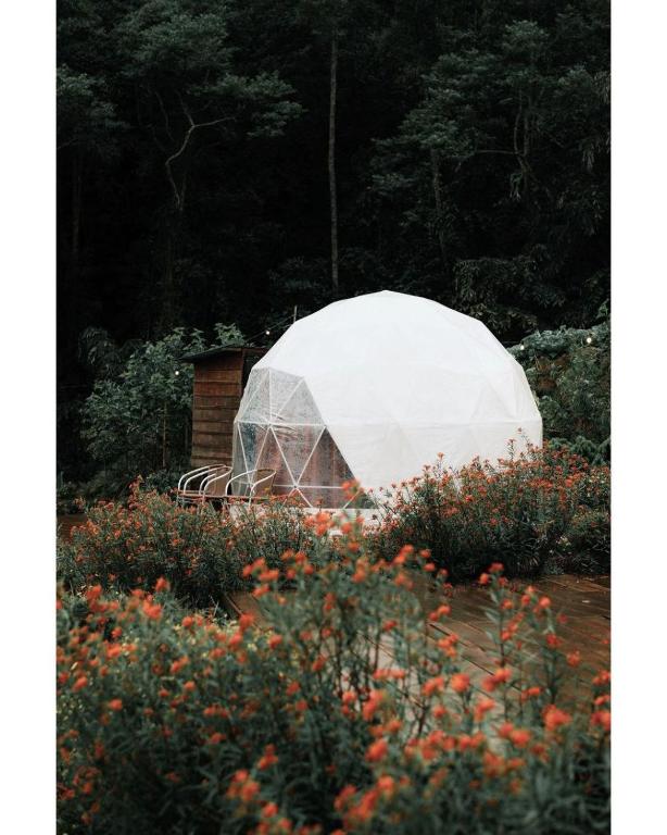 Zahrada ubytování A'moss Farmstay