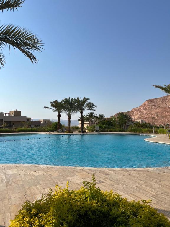 una piscina con palmeras en el fondo en Al Raha chalet -al raha village -marsa zayed - قرية الراحة العقبة -مرسى زايد, en Áqaba