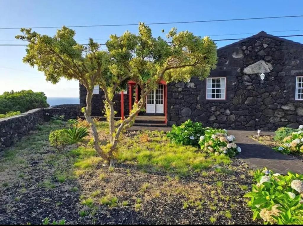 una casa de piedra con un árbol delante en O Abrigo, en Laje