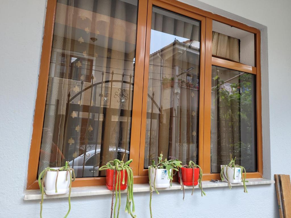 Guest House Pogradec - Imazhi 7