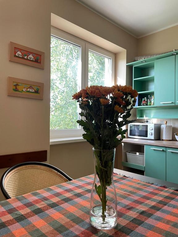 Kjøkken eller kjøkkenkrok på Apartman LOLA