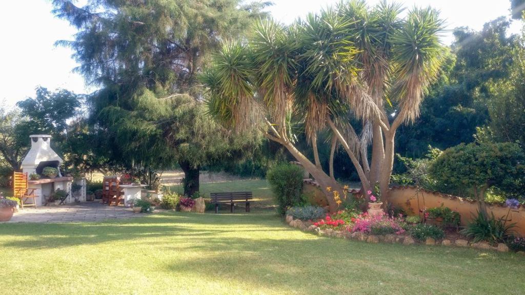 un parque con un banco, palmeras y flores en La Tavernetta, en Santa Maria la Palma