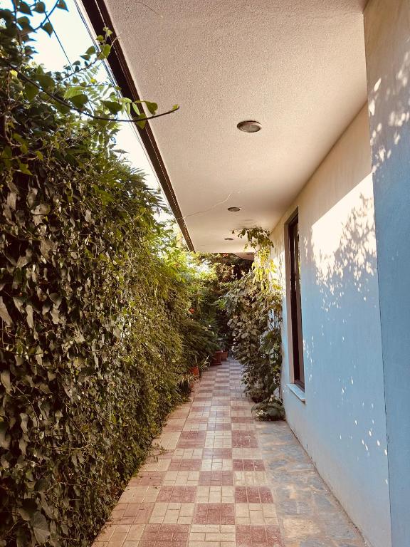 Fotografie z fotogalerie ubytování Hotel Saint Marena v destinaci Pogradec