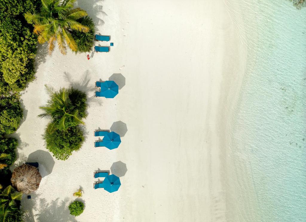 Canareef Resort Maldives - View 29