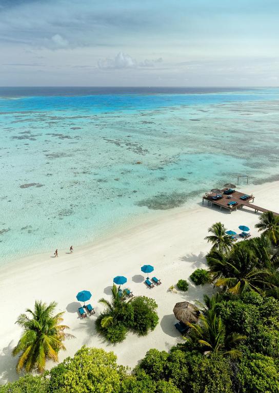 Canareef Resort Maldives photo