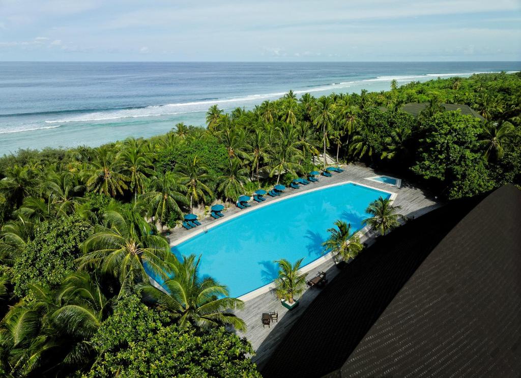 Bazén v ubytování Canareef Resort Maldives nebo v jeho okolí