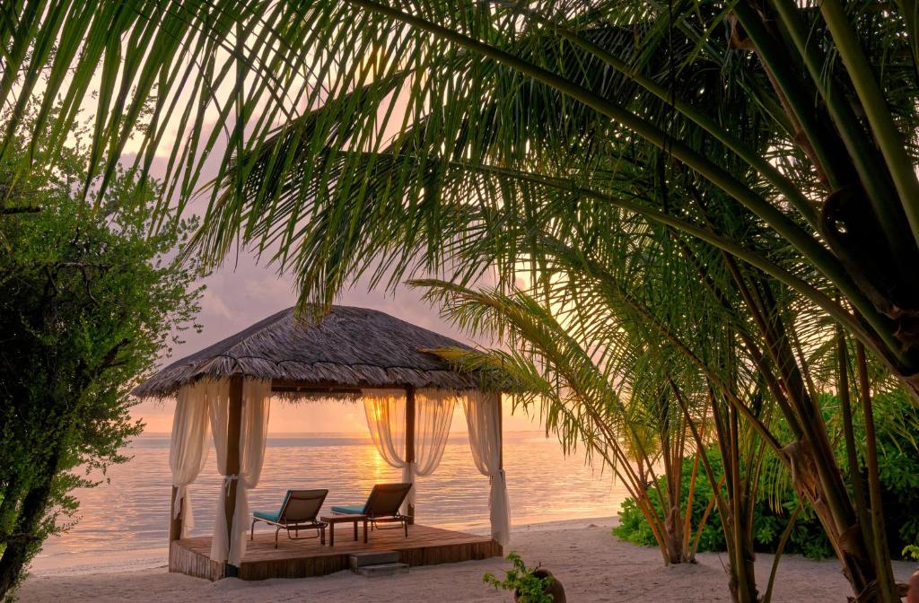 Zahrada ubytování Canareef Resort Maldives