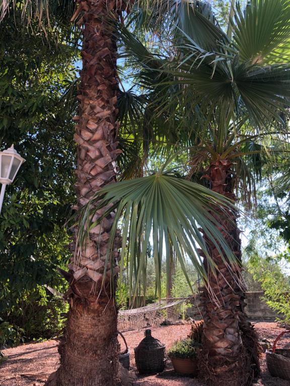 Casa Rural Y Spa de Regina, Turballos – Updated 2023 Prices