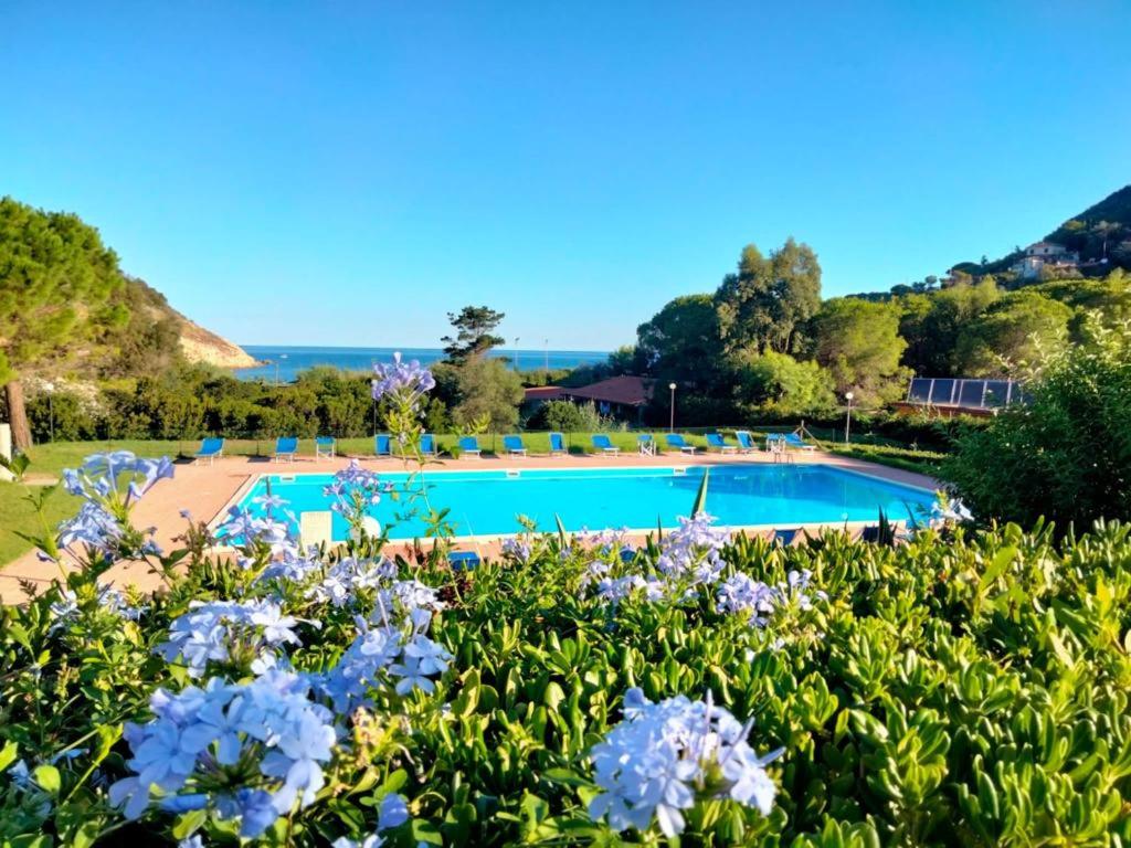 een tuin met een zwembad en bloemen bij Elbamare residence con piscina in Nisporto