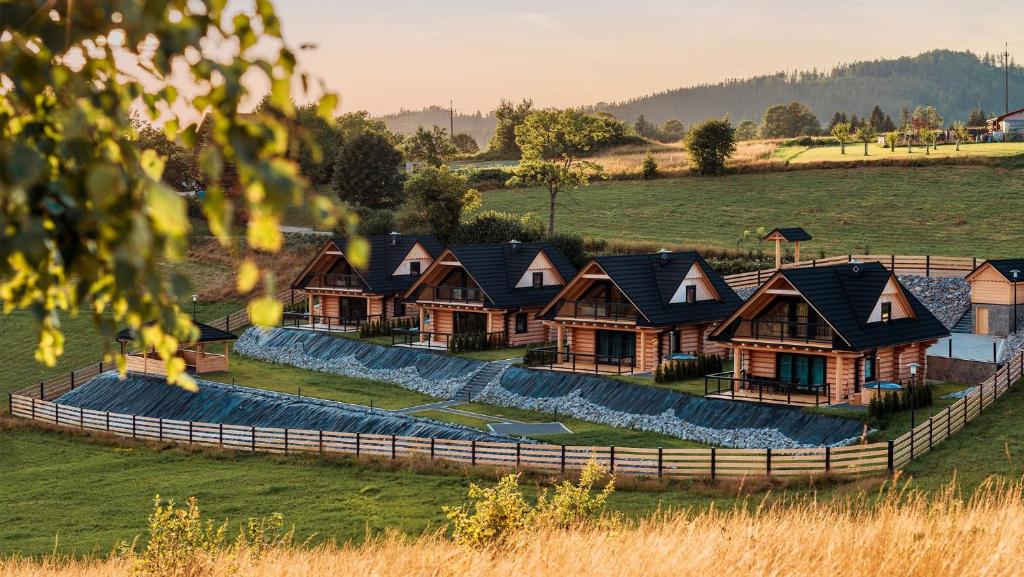 a row of log homes in a field at Osada Miód Malina in Istebna