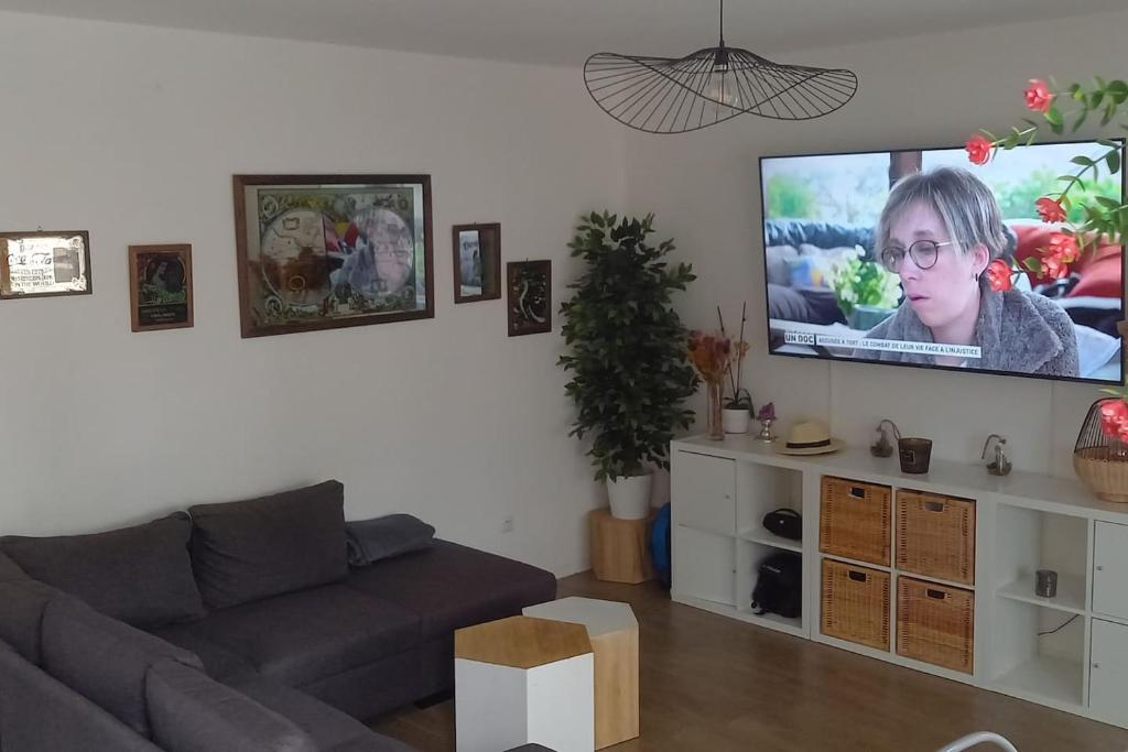 ein Wohnzimmer mit einem Sofa und einem Flachbild-TV in der Unterkunft Beau appartement T3 in Montpellier