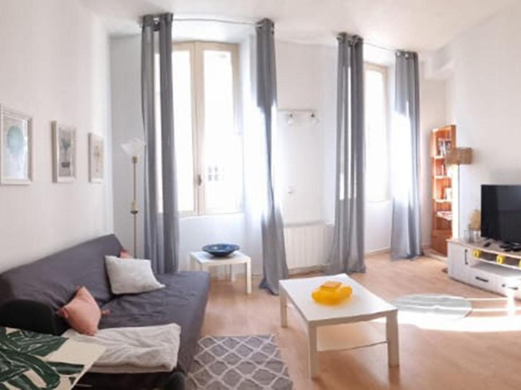 un salon avec un canapé et une table dans l'établissement Appartement intramuros en hyper centre ville, à Avignon