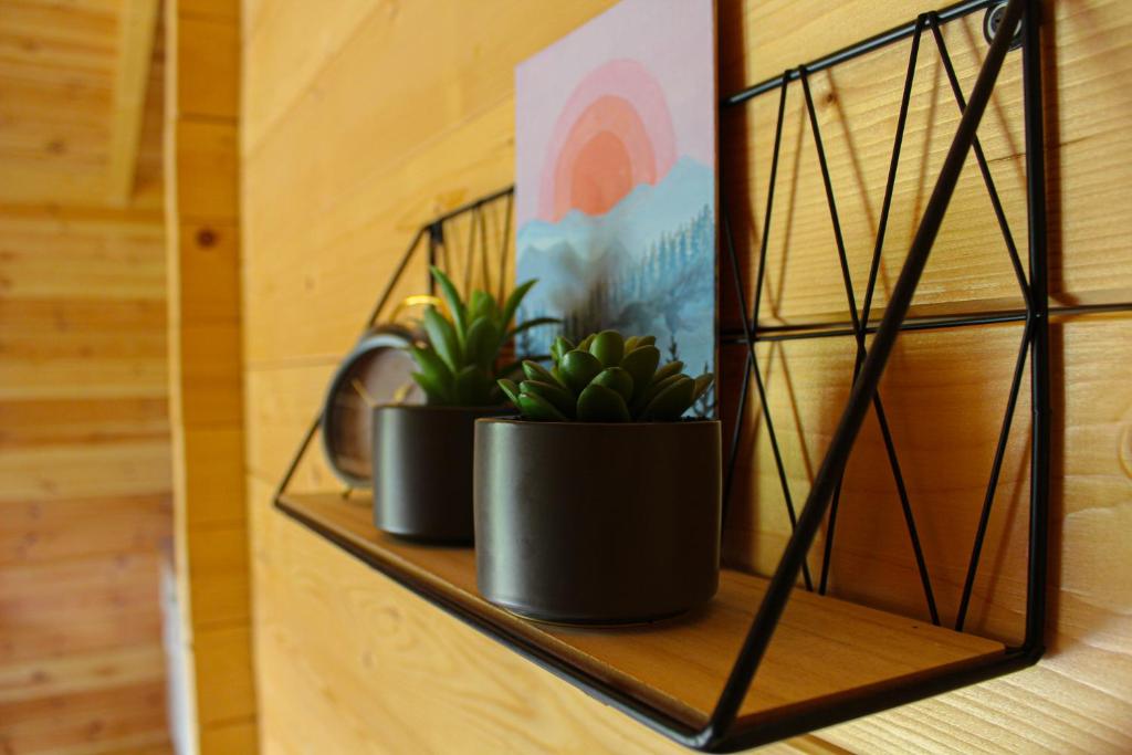 Vikendice Gornja Brezna - Mountain cabin Gornja Brezna - 11