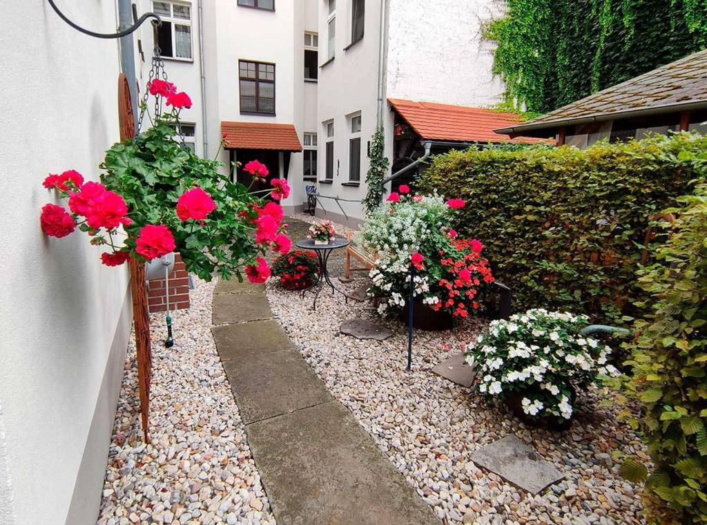 Zahrada ubytování Pension Wehner