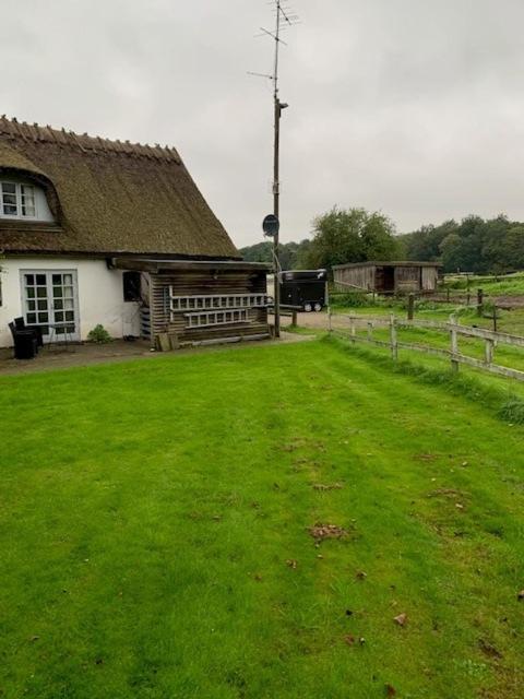Zahrada ubytování Dyrlundgård