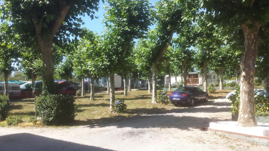 Ogród w obiekcie CAMPING RIANXO