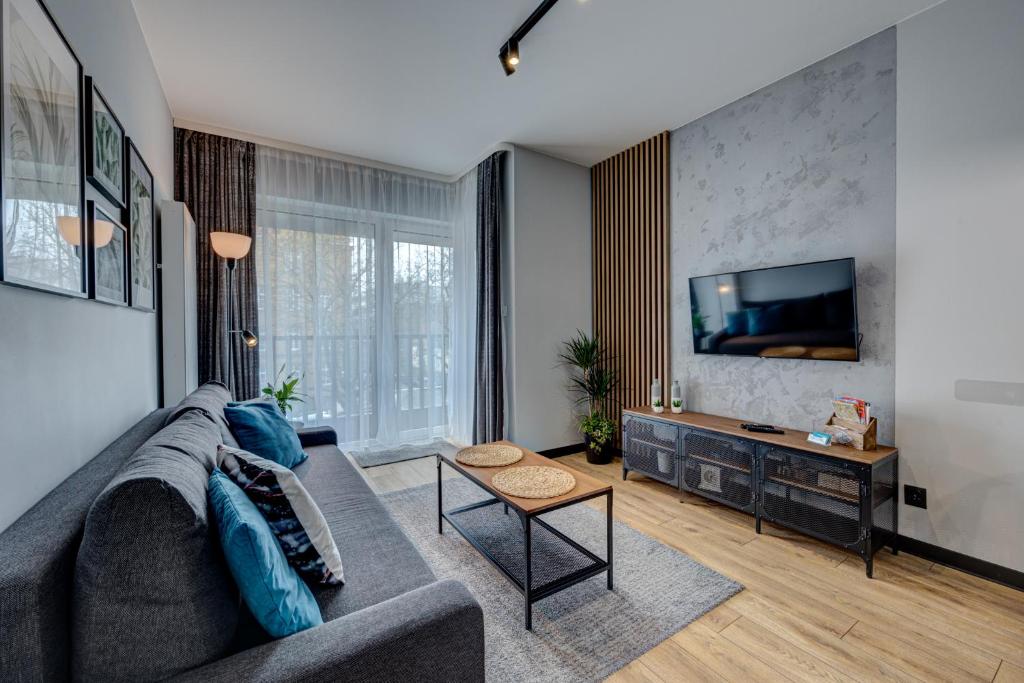 salon z kanapą i telewizorem w obiekcie LM APARTAMENTY NARUTOWICZA Kamienica Nova 2-3 w Szczecinie