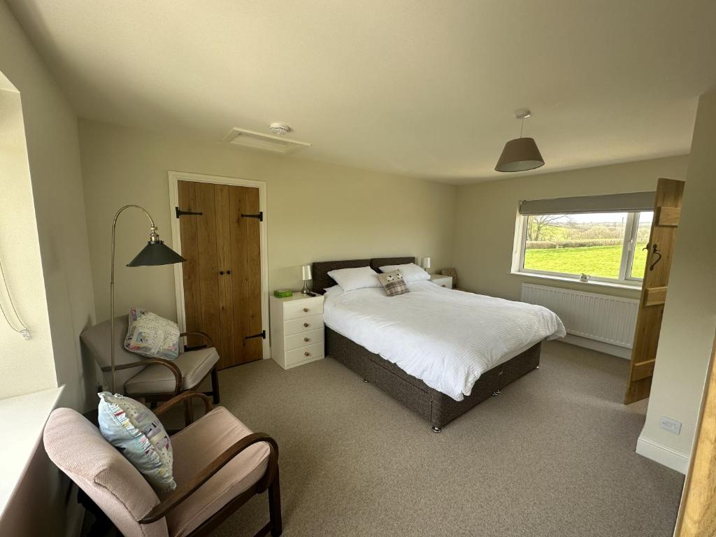 A lovely 1 bedroom annexe with kitchenette في Kidwelly: غرفة نوم بسرير وكرسي ونافذة