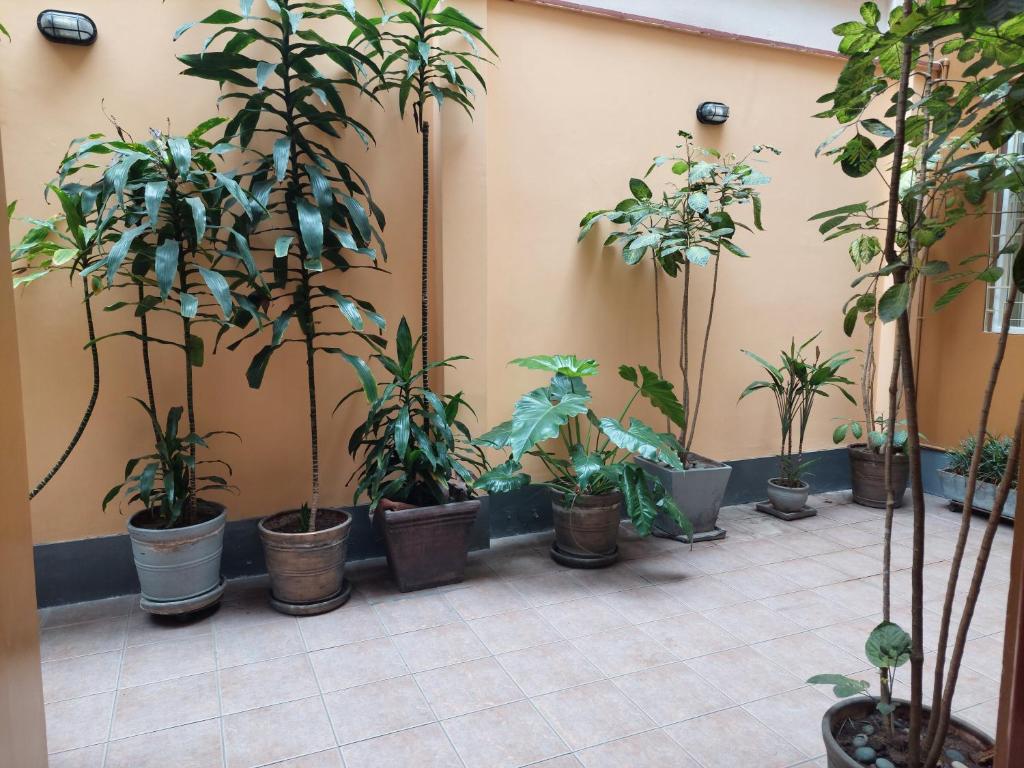 Zahrada ubytování Lima Wasi Hotel Miraflores