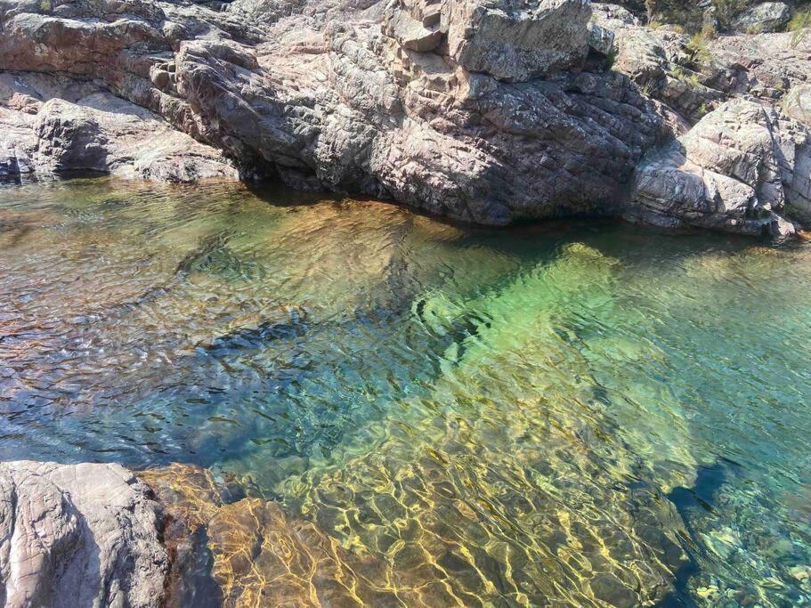 a body of water next to some rocks at Exceptionnelle Vue Mer Calvi - Piscine - T2 in Calvi