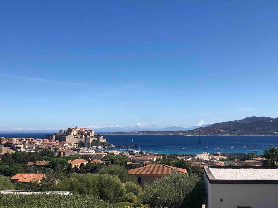 a view of a town with the ocean and a city at Exceptionnelle Vue Mer Calvi - Piscine - T2 in Calvi