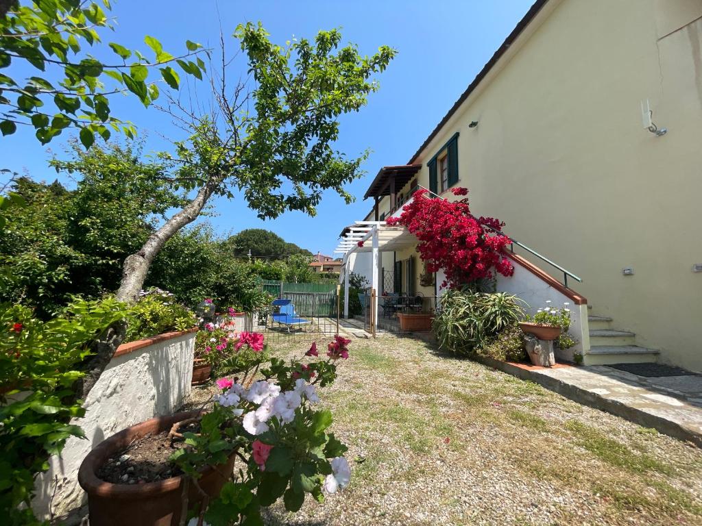 a house with flowers and plants in a yard at Casa Cirilla in Procchio