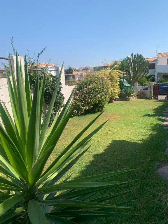 Villetta Calasetta - Spaziosa casa con terrazza e BBQ