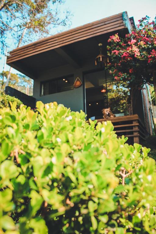 a house with a bush in front of it at Studio Bougainville - Praia do Rosa in Imbituba